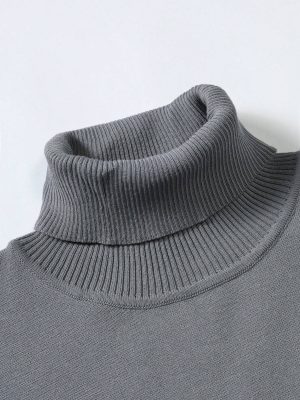 Solid Turtle Collar Sweater