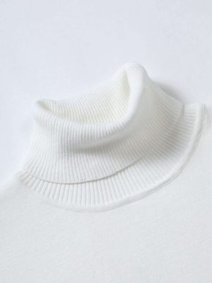 Solid Turtle Collar Sweater