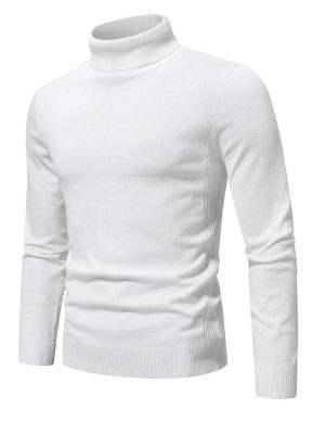 Solid Turtle Collar Sweater