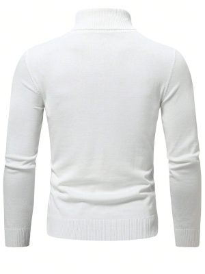 Solid Turtle Collar Sweater