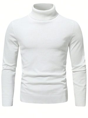 Solid Turtle Collar Sweater