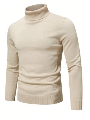 Solid Turtle Collar Sweater