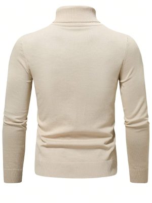 Solid Turtle Collar Sweater